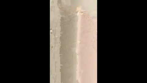bdsmcutiepue online show from 06/10/26, 11:42