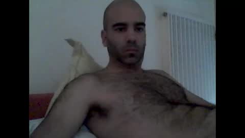 Snapshot of bear14250949 chatting on 10/19/25, 09:10 bear14250949 online show from 10/19/25, 09:10