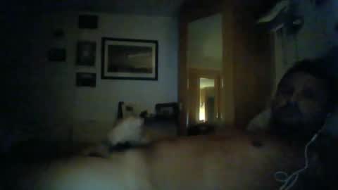 bearboudior online show from 01/11/25, 12:55