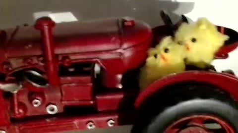 Raluca online show from 09/27/25, 06:24