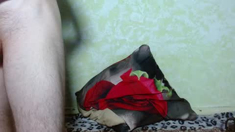 meow online show from 01/19/25, 10:49