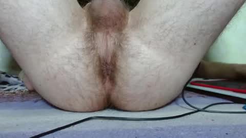 meow online show from 01/31/25, 06:57