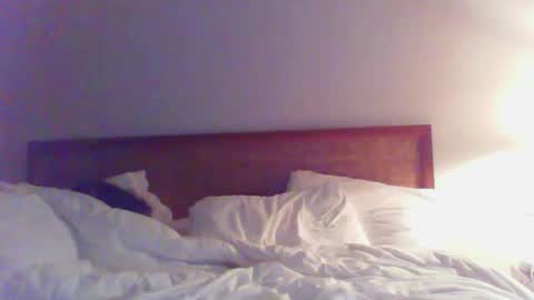 Bedbandits69 online show from 02/22/25, 03:45