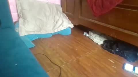 beebaby_xx online show from 11/16/25, 03:39