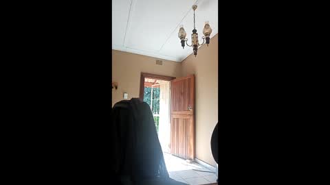 beennudeislife online show from 05/22/26, 07:59