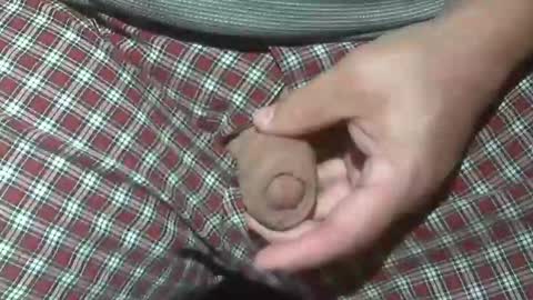 Snapshot of beer27 chatting on 10/20/25, 02:12 Reservoir Dogs online show from 10/20/25, 02:12