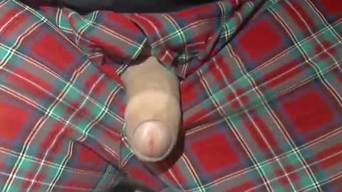 Snapshot of beer27 chatting on 10/21/25, 10:05 Reservoir Dogs online show from 10/21/25, 10:05