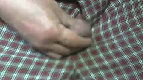 Snapshot of beer27 chatting on 10/31/25, 05:47 Reservoir Dogs online show from 10/31/25, 05:47