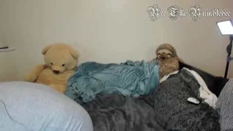 Bee online show from 02/24/26, 10:35
