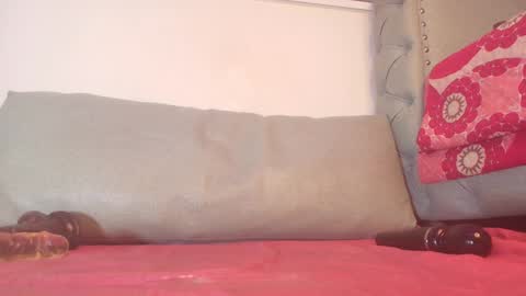 Begonia online show from 12/28/24, 09:31
