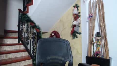 independent model online show from 11/29/25, 11:19