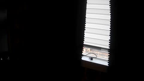 Snapshot of belessa4u chatting on 03/20/26, 12:48 belessa4u online show from 03/20/26, 12:48