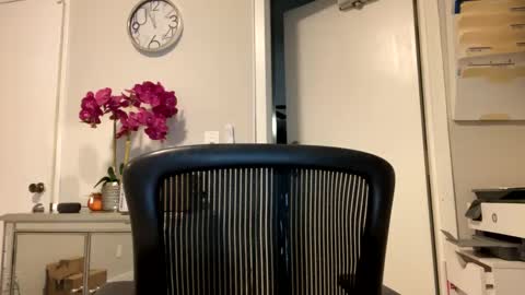 bella_dulce online show from 01/31/25, 08:01