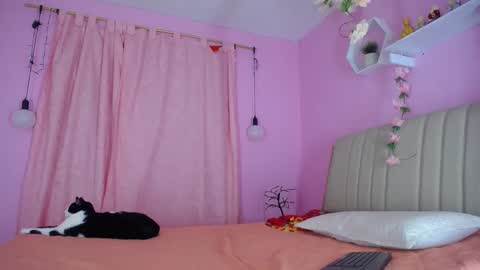 bella_gentle online show from 12/31/24, 10:58