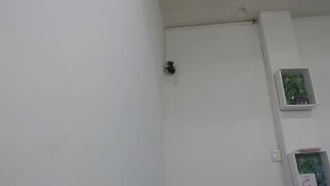 lady online show from 02/09/25, 06:47