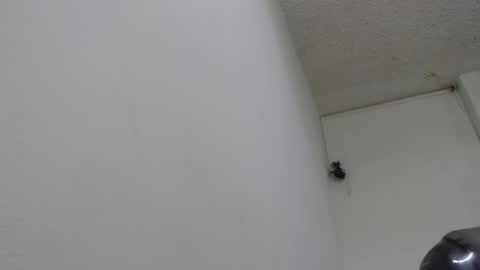 lady online show from 02/13/25, 08:24