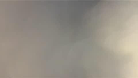 bellanatural online show from 12/16/25, 04:45