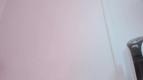 Snapshot of bellota_flak chatting on 12/13/25, 07:53 Bellota Flak online show from 12/13/25, 07:53