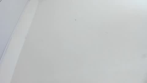 Snapshot of bellota_flak chatting on 12/15/25, 05:55 Bellota Flak online show from 12/15/25, 05:55