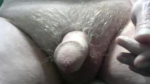 bender41 online show from 02/18/25, 04:58