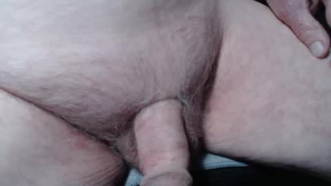 bender41 online show from 11/08/25, 05:29