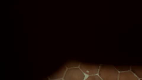 benochau online show from 05/03/26, 11:22