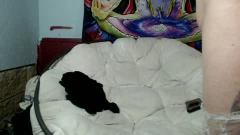 Bent Bunny online show from 07/08/26, 03:00