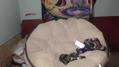 Bent Bunny online show from 07/22/26, 02:53
