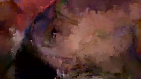 bentito2 online show from 07/01/26, 07:46