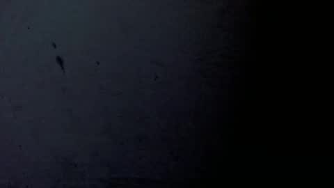 Snapshot of bergon30 chatting on 01/24/25, 09:15 Bergon77 online show from 01/24/25, 09:15