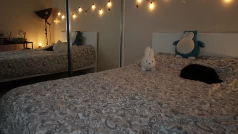 Chloe Next stream on Friday online show from 11/16/25, 08:36