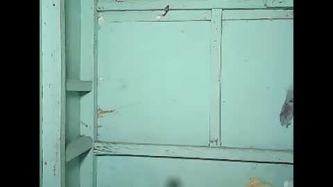 betty_83 online show from 12/05/24, 04:55