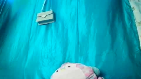 bheb_ji online show from 07/06/26, 12:51