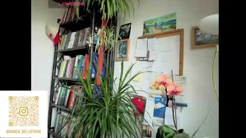 Bianca Transgirl online show from 06/09/26, 07:42