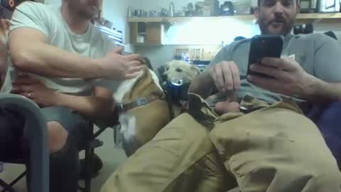 bicboy007 online show from 03/08/25, 02:34