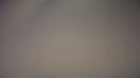 Biff Beaverhousen online show from 11/01/25, 11:34