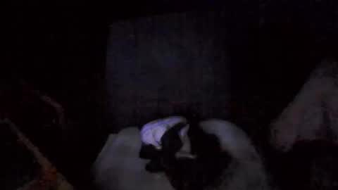 Snapshot of big_davis4 chatting on 11/30/25, 12:42 big_davis4 online show from 11/30/25, 12:42