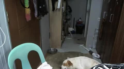 bigboobslyn online show from 05/20/26, 04:24