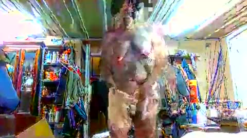 bigboy_604630544 online show from 09/28/25, 01:16