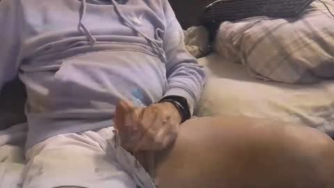 Snapshot of bigboytoy_12 chatting on 03/03/25, 04:58 L e g a l S t u f f Any UNAUTHORIZED use of this profile video pictures or audio in any form or in a forum now or in the fu online show from 03/03/25, 04:58