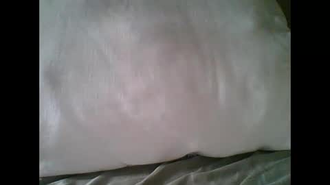 Snapshot of bigbravo337 chatting on 11/22/25, 02:27 bigbravo337 online show from 11/22/25, 02:27