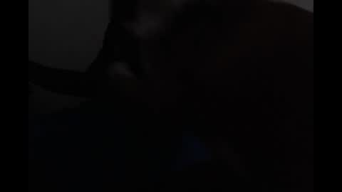 Bryson online show from 04/19/26, 06:10