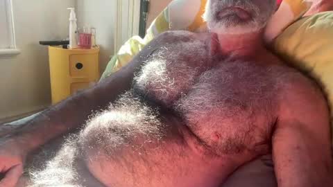 big bush online show from 07/13/26, 02:03