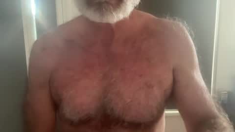 big bush online show from 07/23/26, 04:43