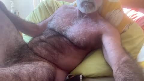 big bush online show from 07/28/26, 03:13