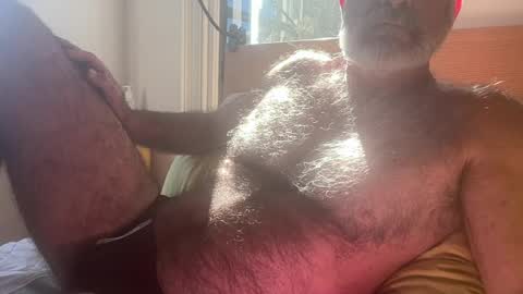 big bush online show from 07/30/26, 02:32