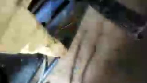 bigcockj808209 online show from 07/10/26, 04:28