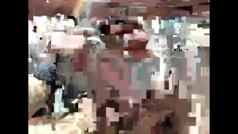 BigDaddykodack online show from 09/15/25, 06:41