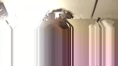 Big Daddy 1988 S online show from 11/03/25, 06:14