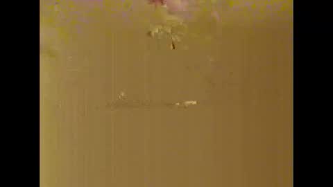 Snapshot of bigdaddydongarlets391292 chatting on 10/17/25, 08:06 bigdaddydongarlets391292 online show from 10/17/25, 08:06